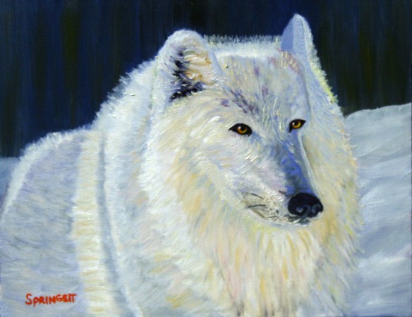 Arctic Wolf