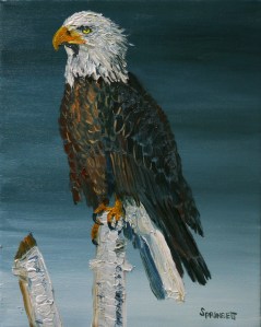 Bald Eagle-C-1-JES-Small