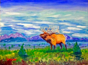 Craig's bull elk 2013