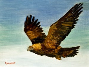 Golden Eagle-1-C-JES
