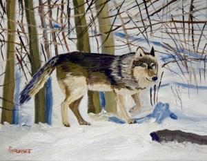 Gray Wolf-2-WSC-JES