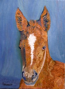 NV foal-4