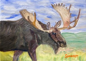 Bull Moose-2-C-JES-print