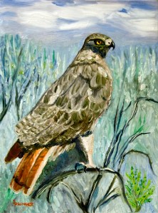 Red Tailed Hawk-3-C-JES-Print