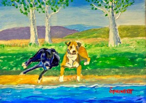 Shorty&Izzy-2013(Kerry)