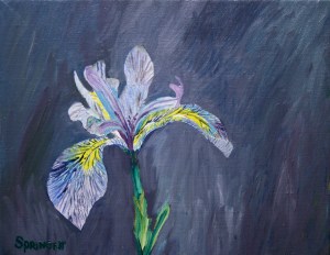wild iris-7