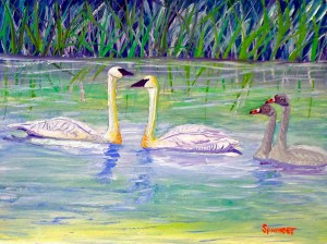 I Love God's Creation-Trumpeter Swans-2013 print_edited-1