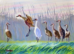 Whooping Crane 10-10-2013-JES