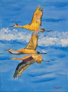 Sandhill crane-Family-Crex-2014-JES