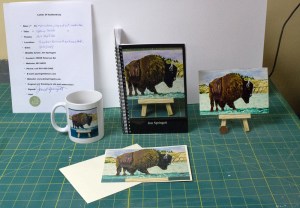 Buffalo-Bundle-Special-2014-JES_edited-12