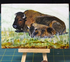 Buffalo Cow and Calf-TRNP-2014-JES