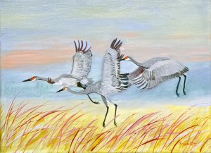 Sandhill Cranes-3-10-29-2014-JES-Crex