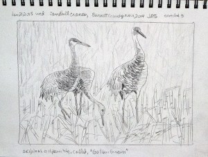 Sandhill Cranes-Golden Grain-2015-JES
