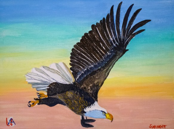 Bald Eagle-Vision-Feb-7-2016-JES=2